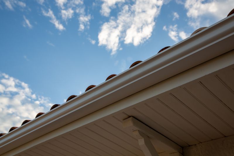 Gutter and Roof Edge Repair